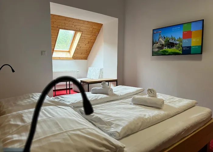 Horsky Hotel Vidly