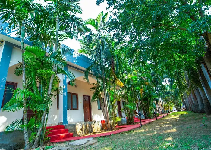 Jungle Palace Resort