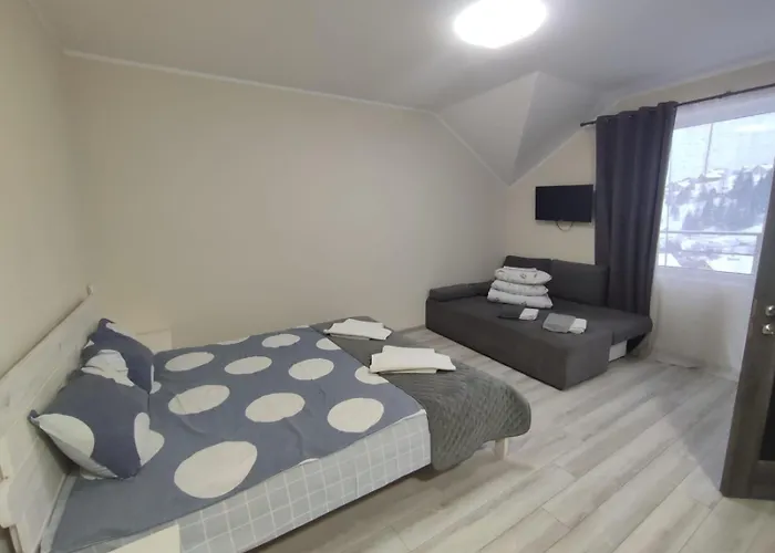 Hotel Osher