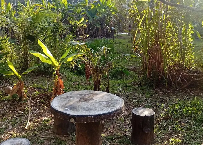 Chom Suan Farmstay
