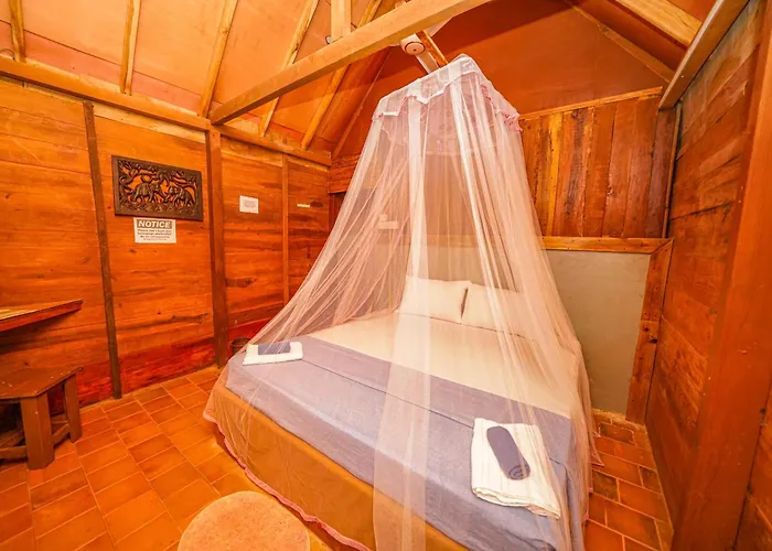 Cool Banyan Cabana