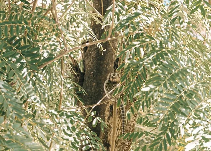 Pousada Maracaju