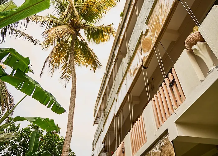 Casa Banana