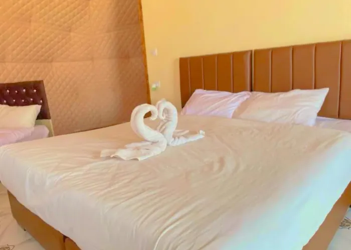 Olivia Rum Luxury Bubbles & Jeep Tours