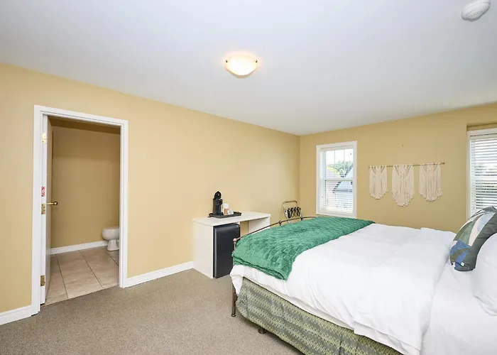 Nine Vines Hotel