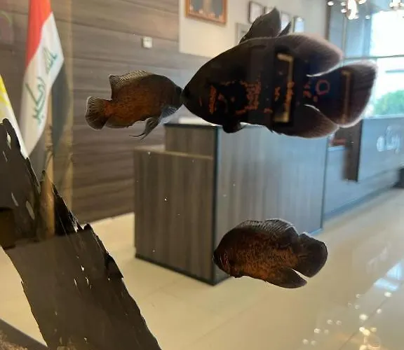 Perlina Waziran Hotel