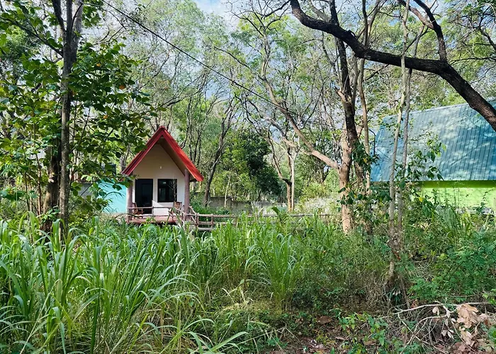 Zora Resort
