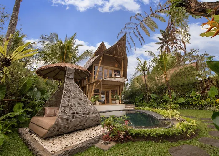 Lazy Coconut Bali