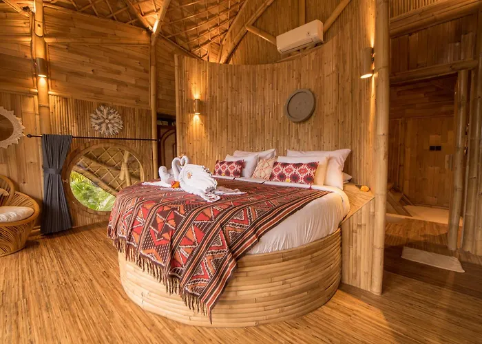 Lazy Coconut Bali