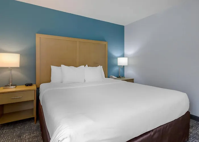 Comfort Inn & Suites Alexandria West