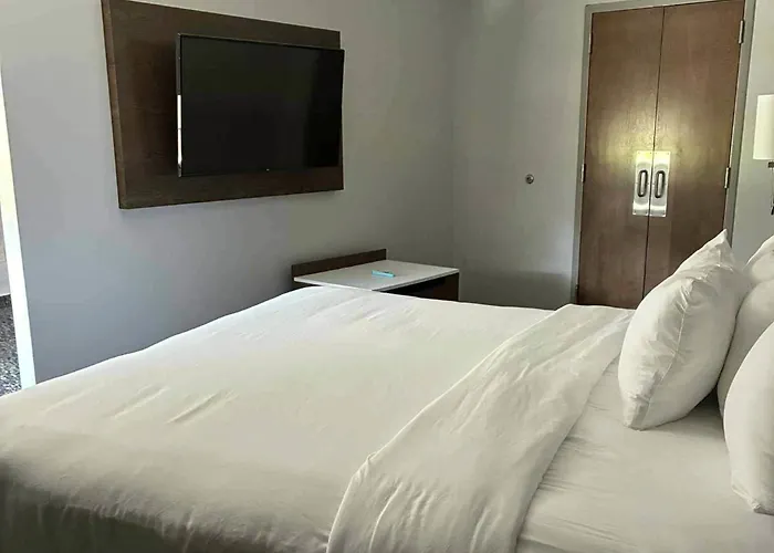 Comfort Inn & Suites Near Lake Guntersville Scottsboro