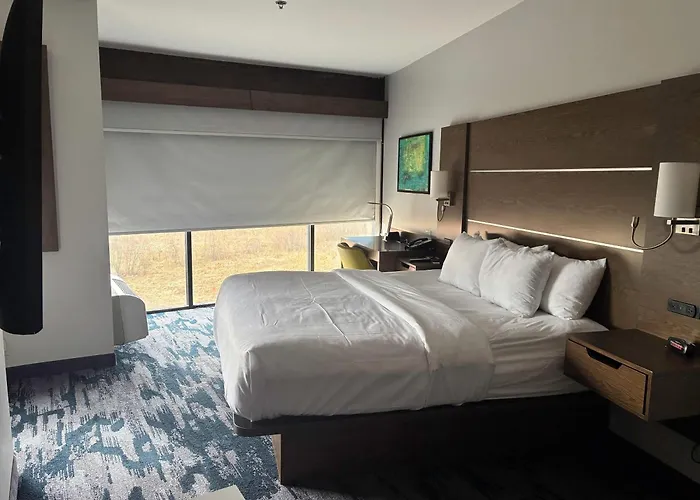 Comfort Inn & Suites Near Lake Guntersville Scottsboro