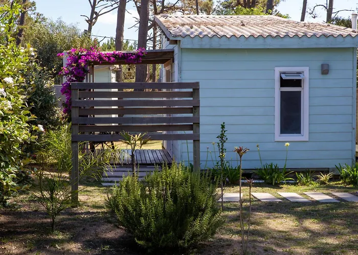 Koru House