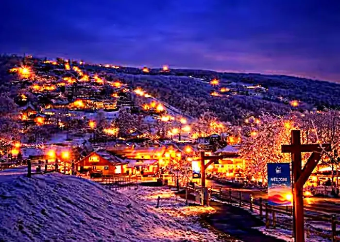 Catch The Snow Now-Beech Mountain Ski Area Studio