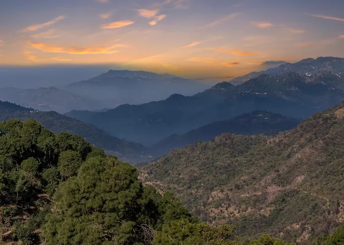 Treehouse Kasauli By Chaitnya Homes