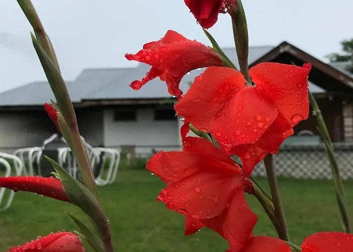 Sky View Resort Shogran