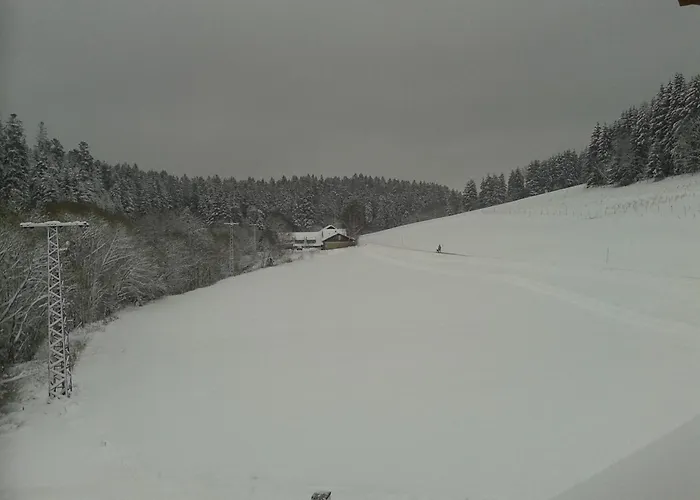 DZT-Schwarzwaldhotel Garni
