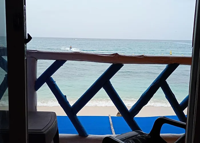 Paraiso De Corales