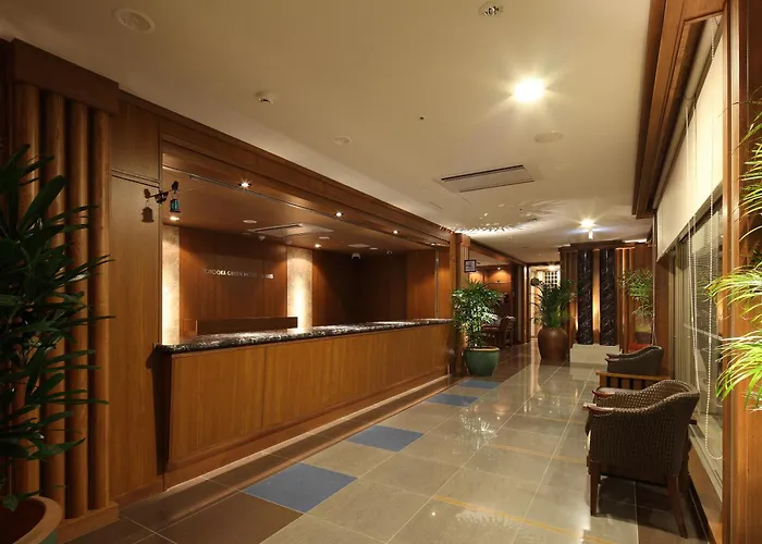 Toyooka Green Hotel Morris