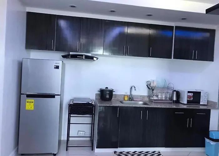 Manila Skyview Suite At Birch Tower Condo
