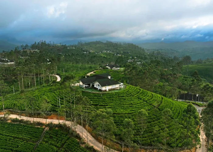 Aadya Tea Bungalows By Aahaasa