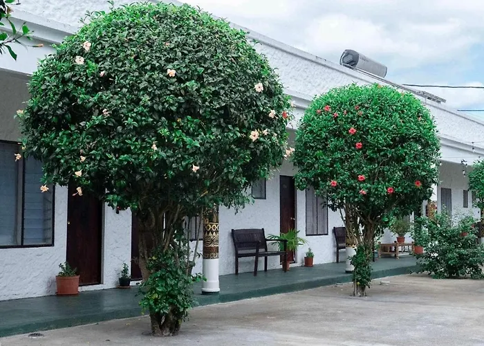 Simon's Place