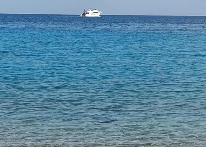 Juliana Beach Resort