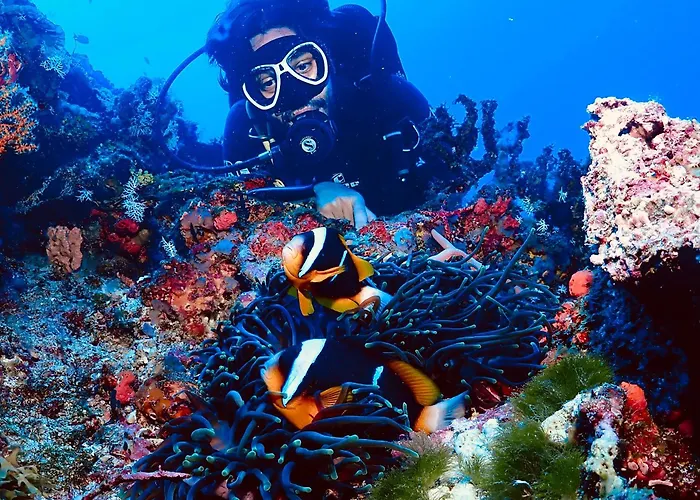 Afro Divers Lodge