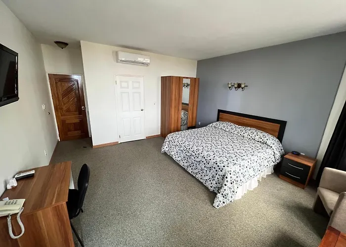 Pro Plus Suites