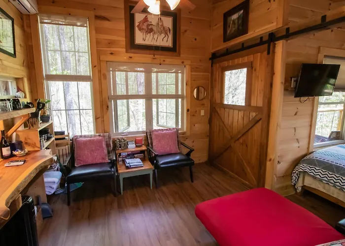 Dreamy Treehouse Getaway Dog Friendlydisc Golf