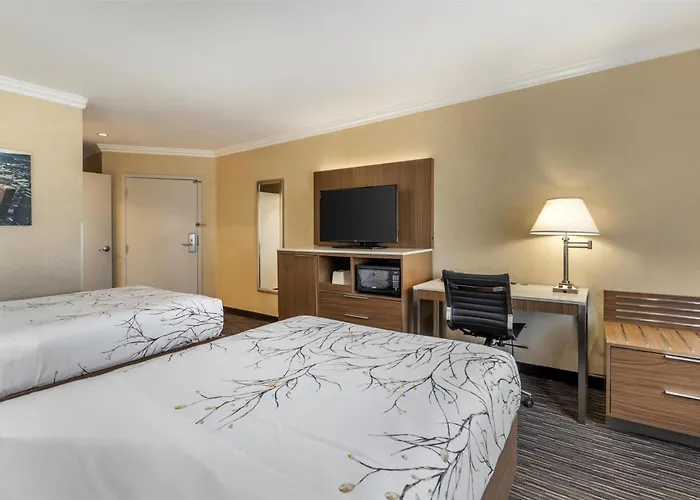 Best Western Airpark Hotel - Lax Airport La Stadium