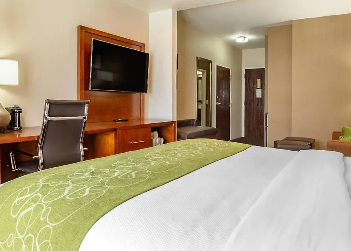 Comfort Suites Dover University Area
