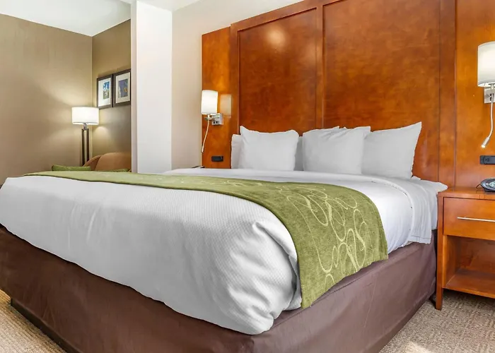 Comfort Suites Dover University Area