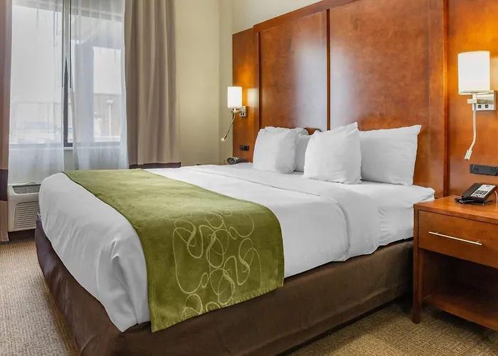 Comfort Suites Dover University Area
