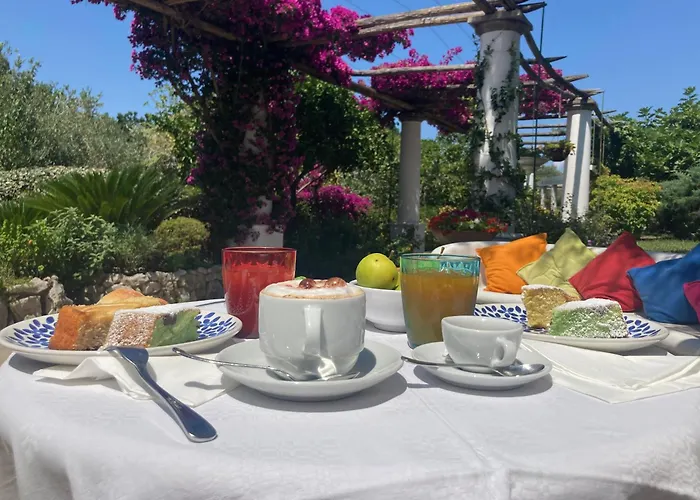 Hotel Al Mulino - Mediterranean Garden Retreat in AnaCapri