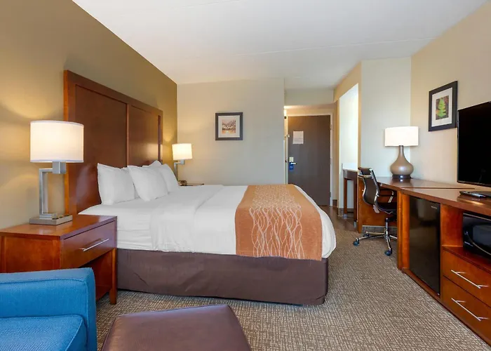 Comfort Inn & Suites Wilkes Barre - Arena