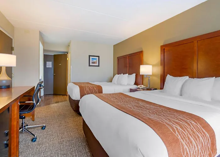 Comfort Inn & Suites Wilkes Barre - Arena