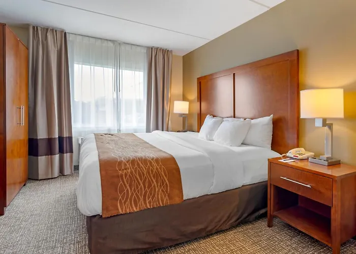Comfort Inn & Suites Wilkes Barre - Arena