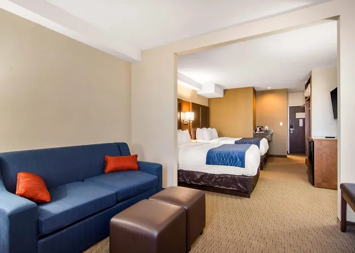 Comfort Inn&Suites Medicine Hat Shopping Centre