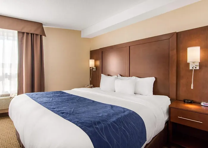 Comfort Inn&Suites Medicine Hat Shopping Centre