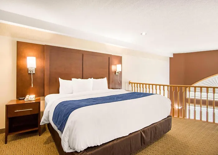 Comfort Inn & Suites Medicine Hat Shopping Centre