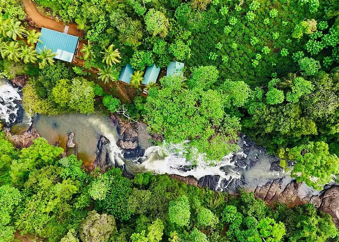 The Rainforest Hideaway