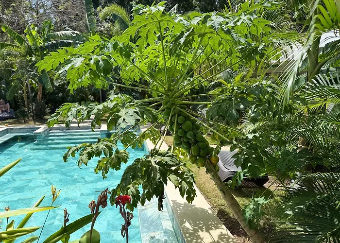 Hotel Good Life