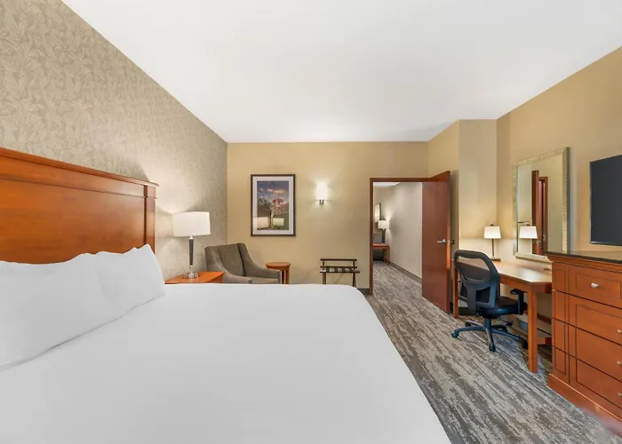 Drury Plaza Hotel St Louis Brentwood
