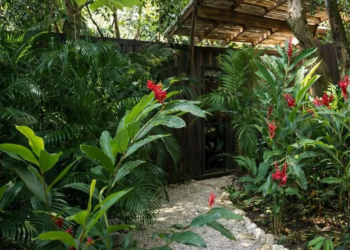 Green Sanctuary Hotel