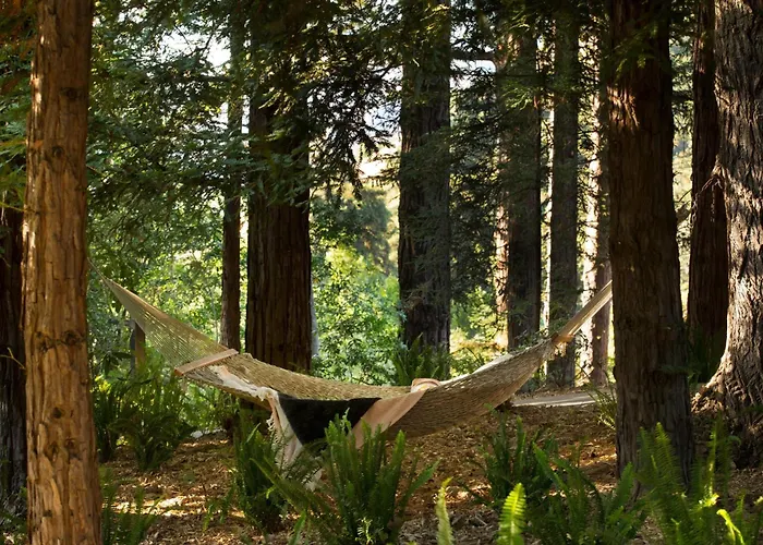 Alila Ventana Big Sur (Adults Only) Hotel