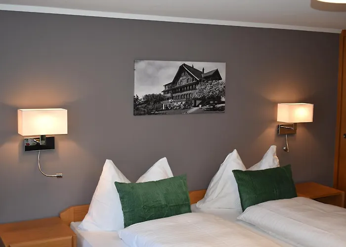 Hotel Friedheim Weggis