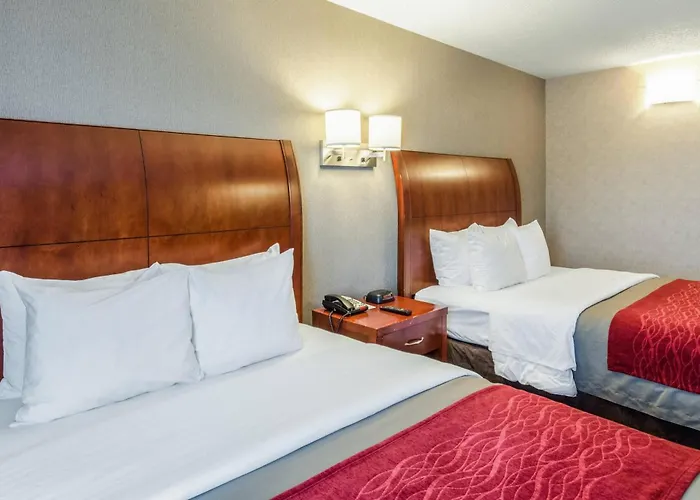 Comfort Inn & Suites West Springfield