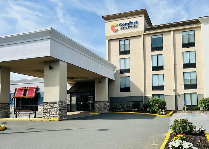 Comfort Inn & Suites Danbury-Bethel