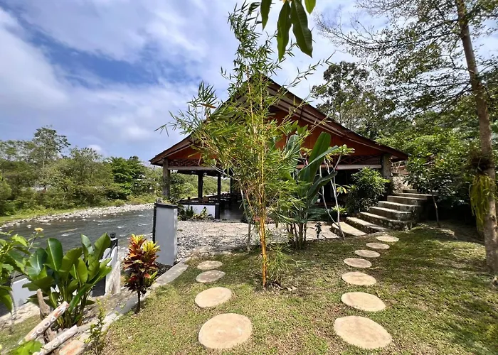 Asim Paris Guesthouse & Jungle Trekking